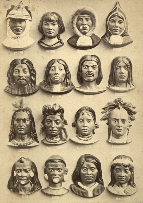 Eine für das 19. Jh. typische systematische Einteilung der Menschen in Rassen (nach Karl Ernst von Baer, 1862)